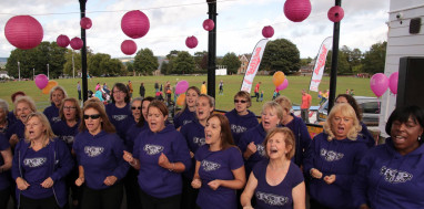 the-vine-sevenoaks-for-breast-cancer-care-saturday-1st-october-2016